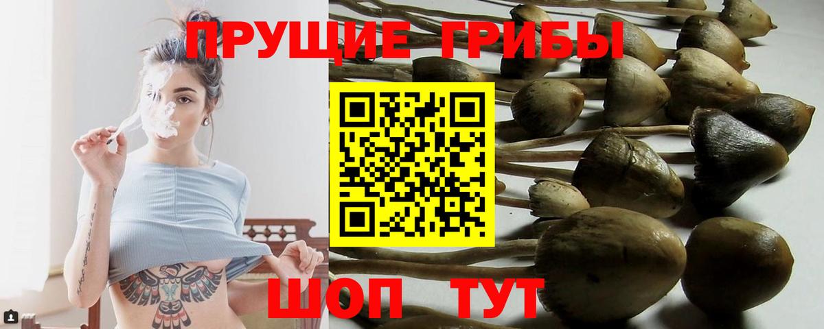 Галлюциногенные грибы мицелий Серпухов